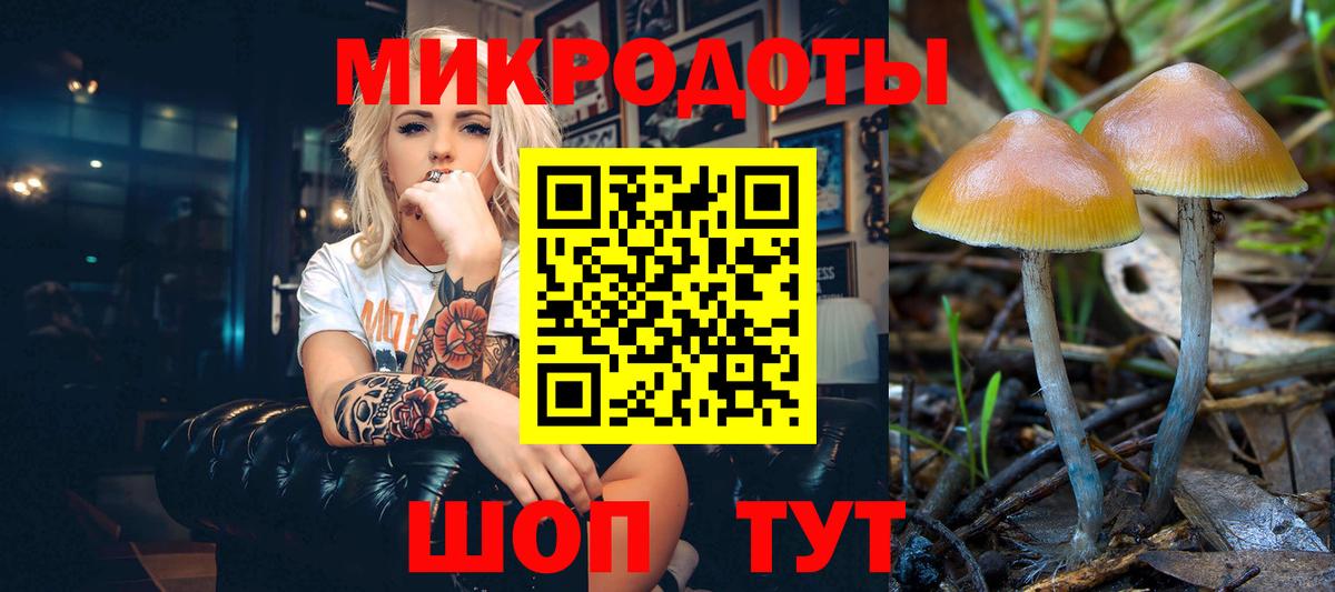 Урус-Мартан  Псилоцибиновые грибы мухоморы  Вход с VPN 